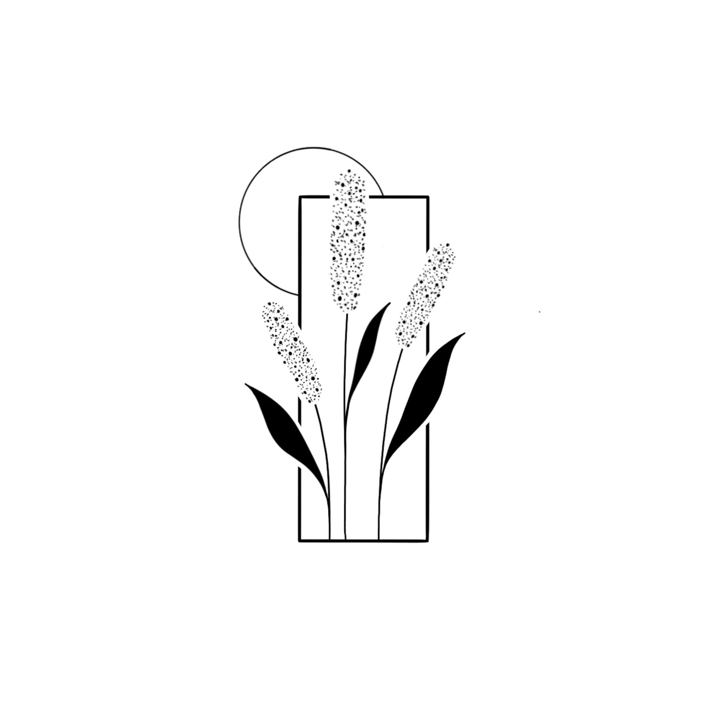 #210