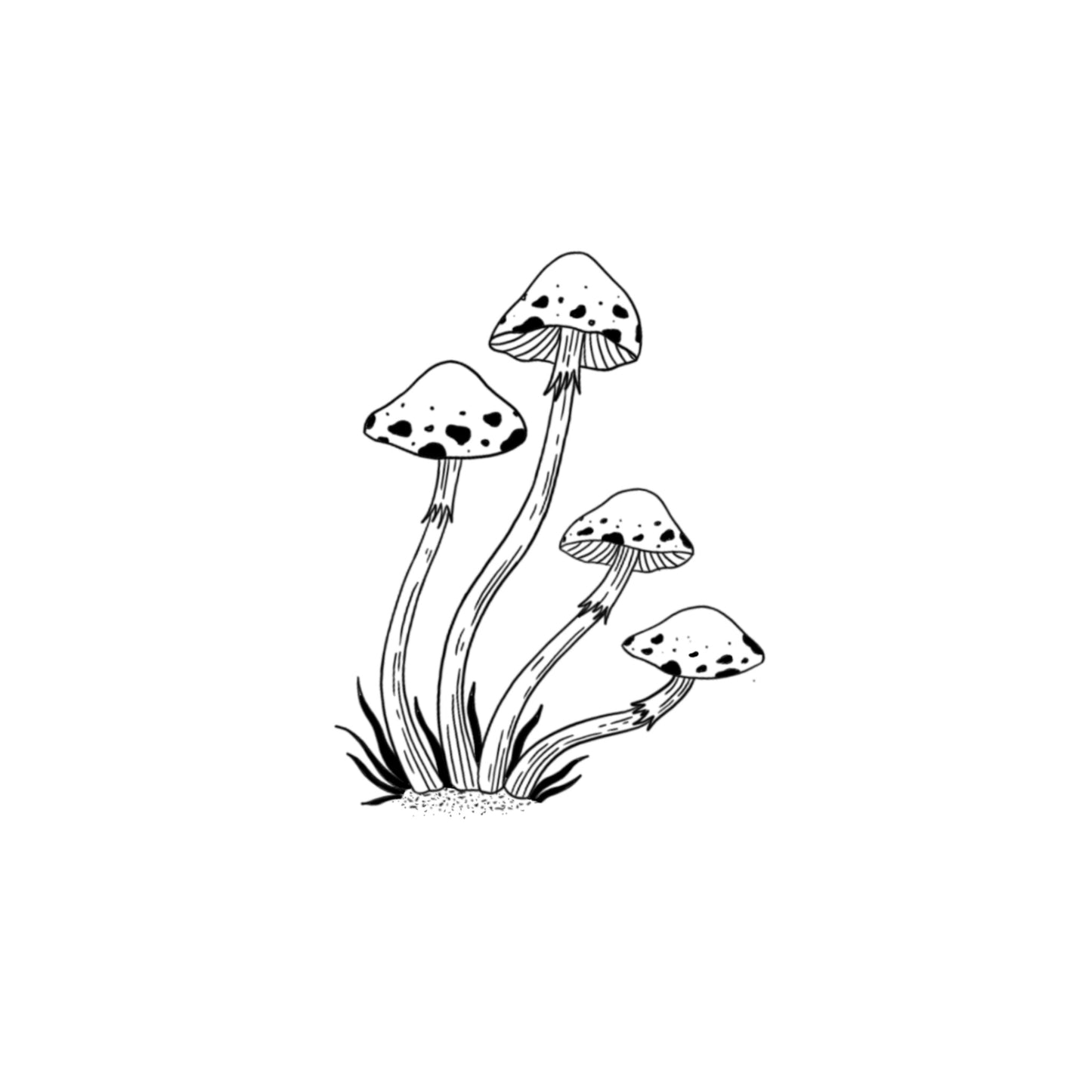 #206