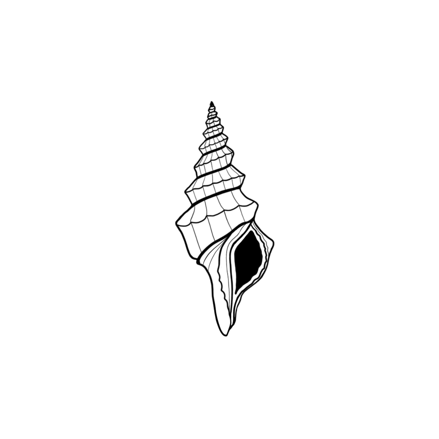 #42