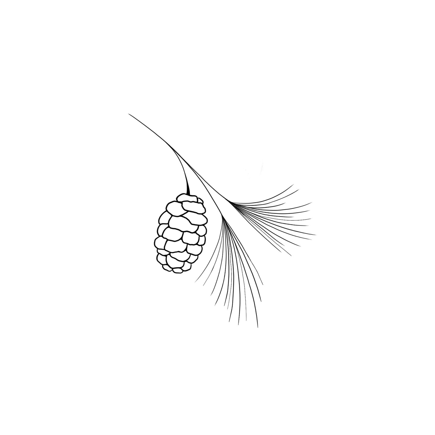 #230